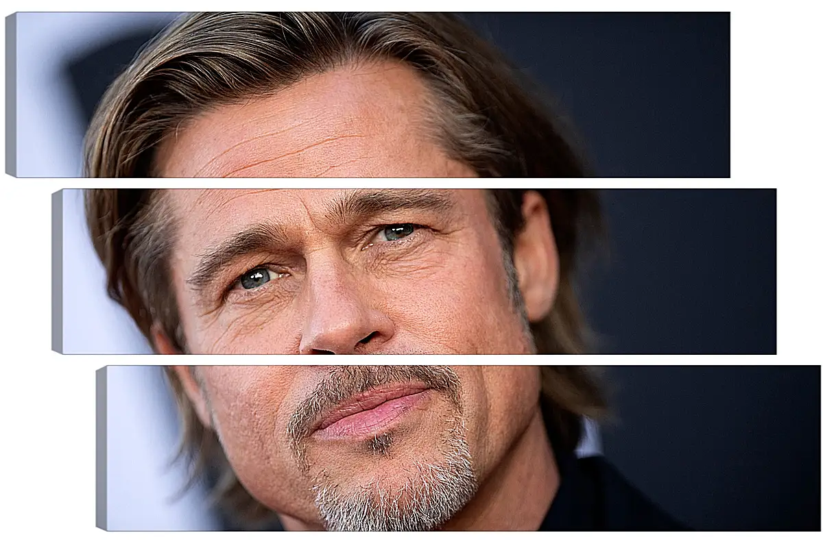 Модульная картина - Брэд Питт. Brad Pitt