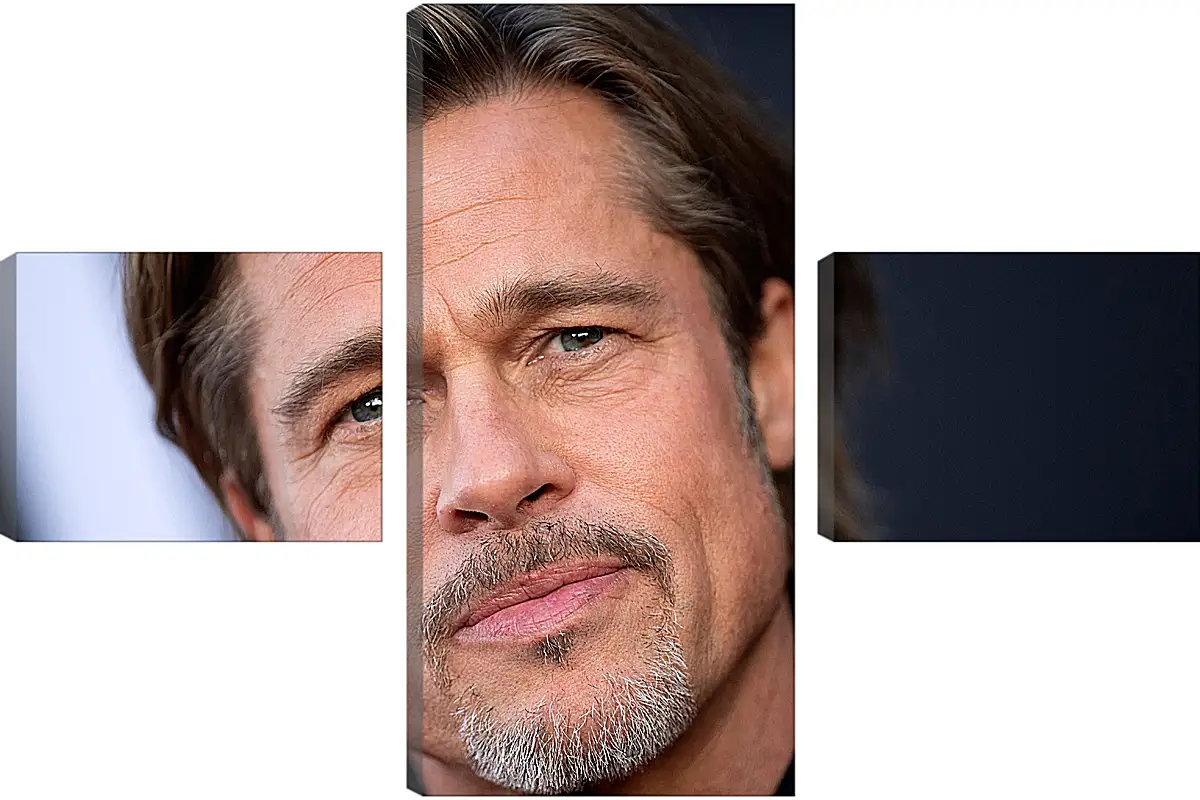 Модульная картина - Брэд Питт. Brad Pitt