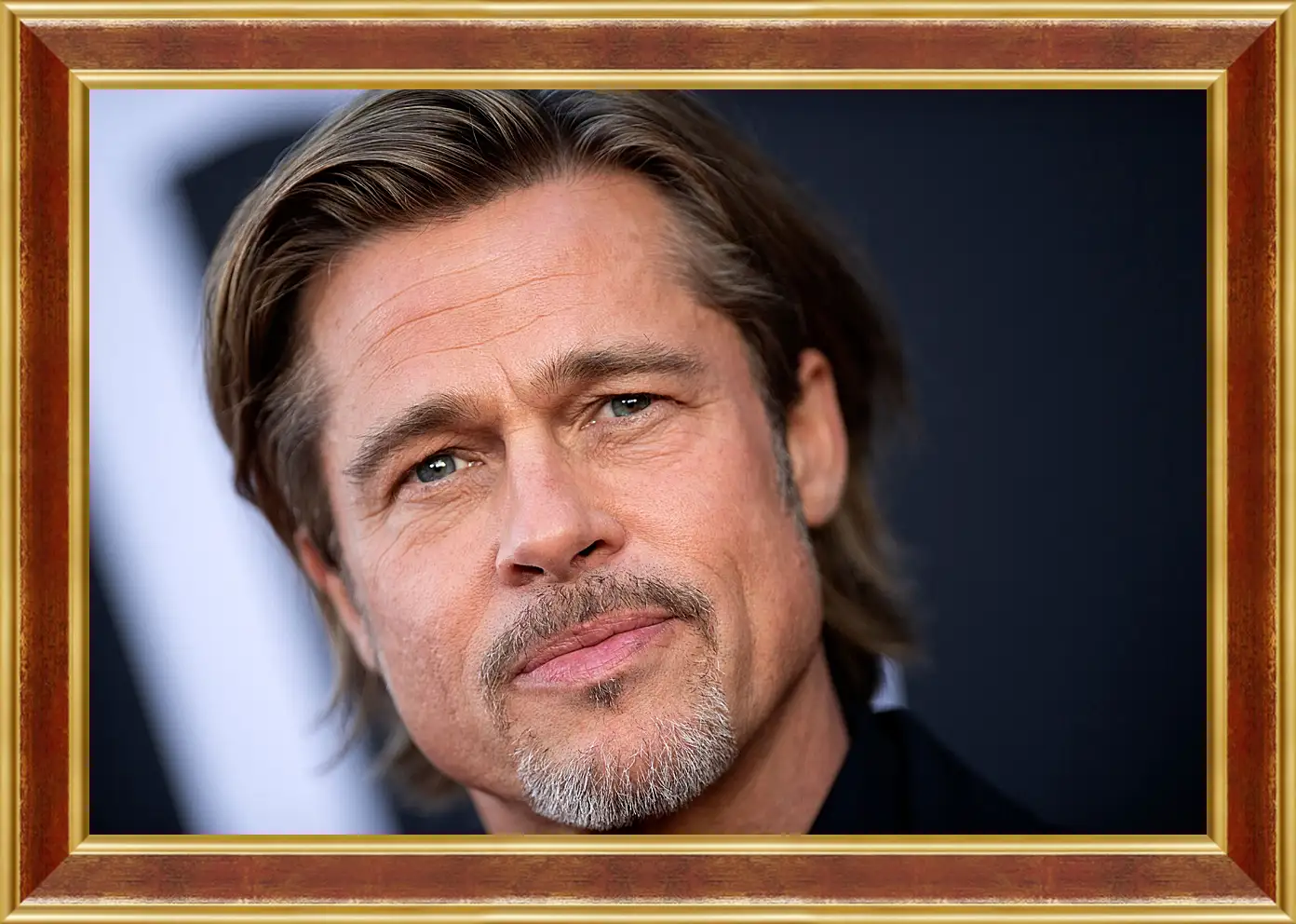 Картина в раме - Брэд Питт. Brad Pitt