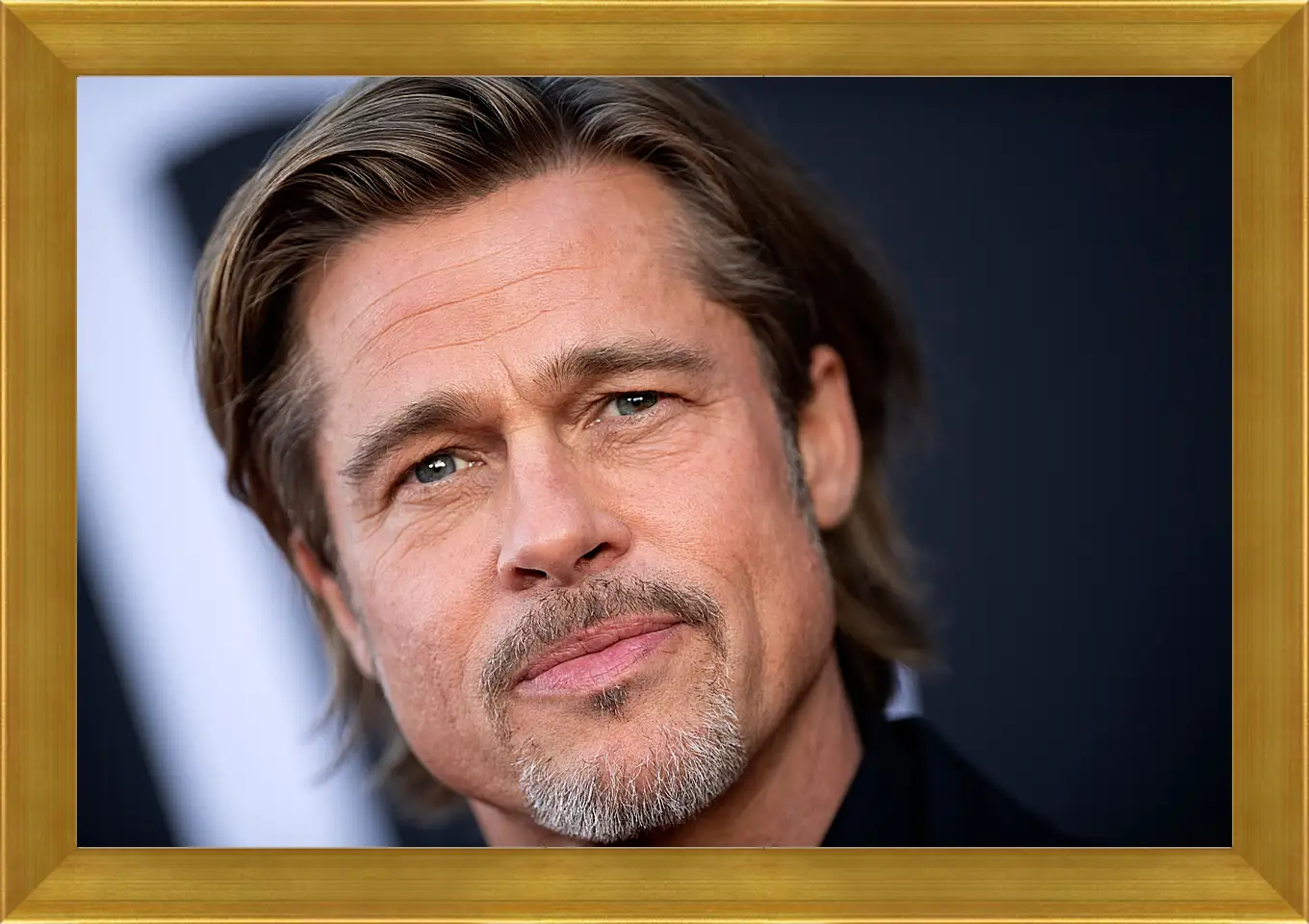 Картина в раме - Брэд Питт. Brad Pitt