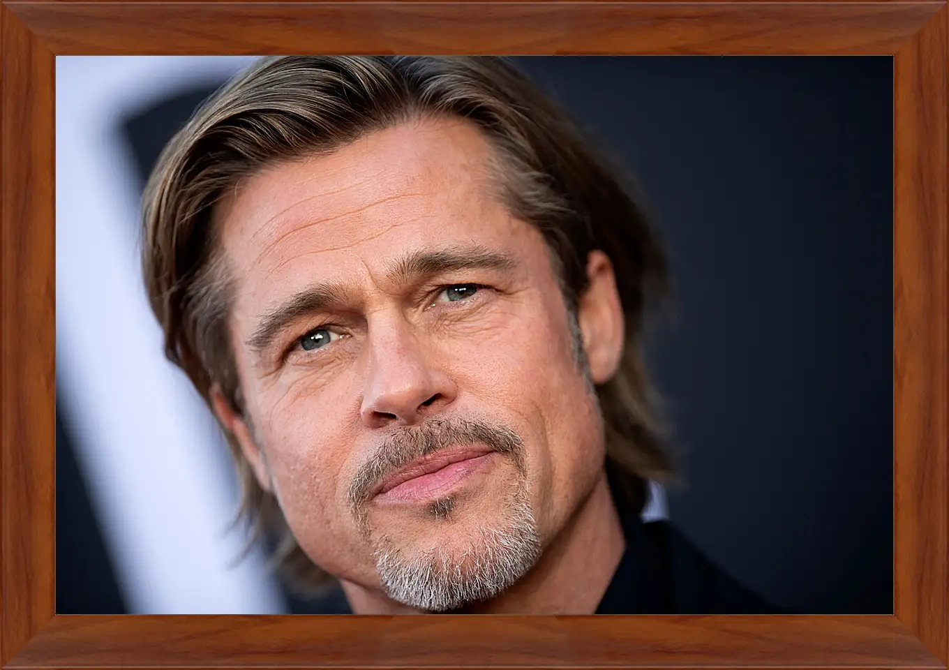 Картина в раме - Брэд Питт. Brad Pitt