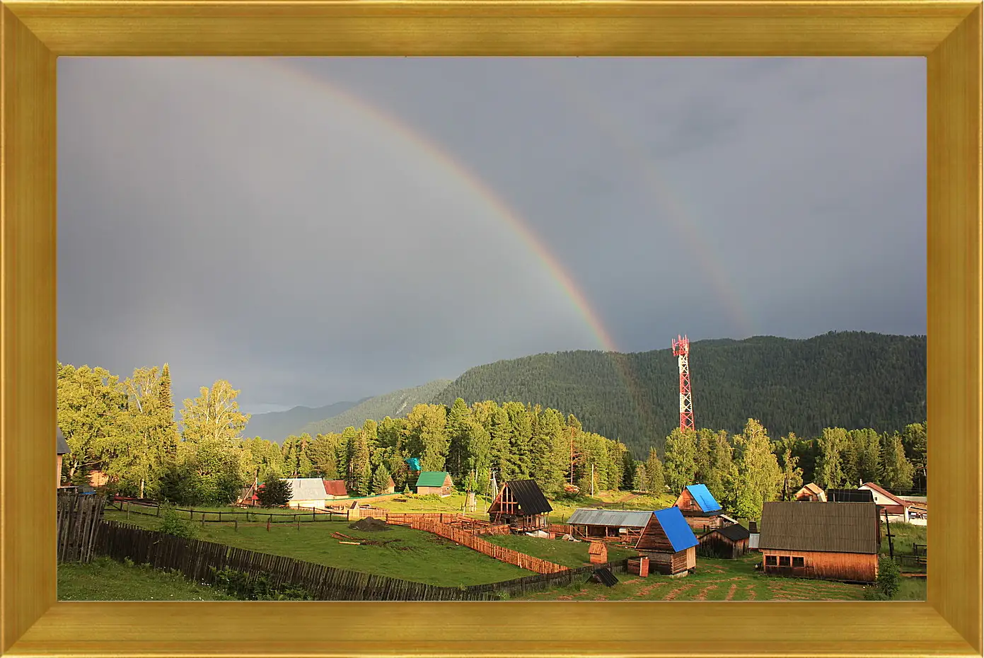 Картина в раме - Лето