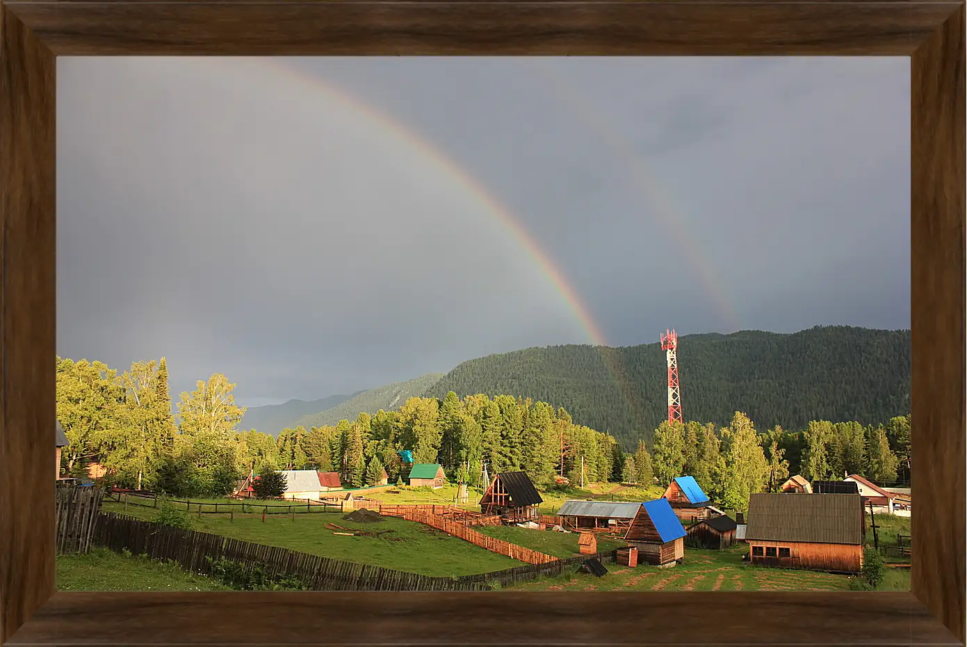 Картина в раме - Лето