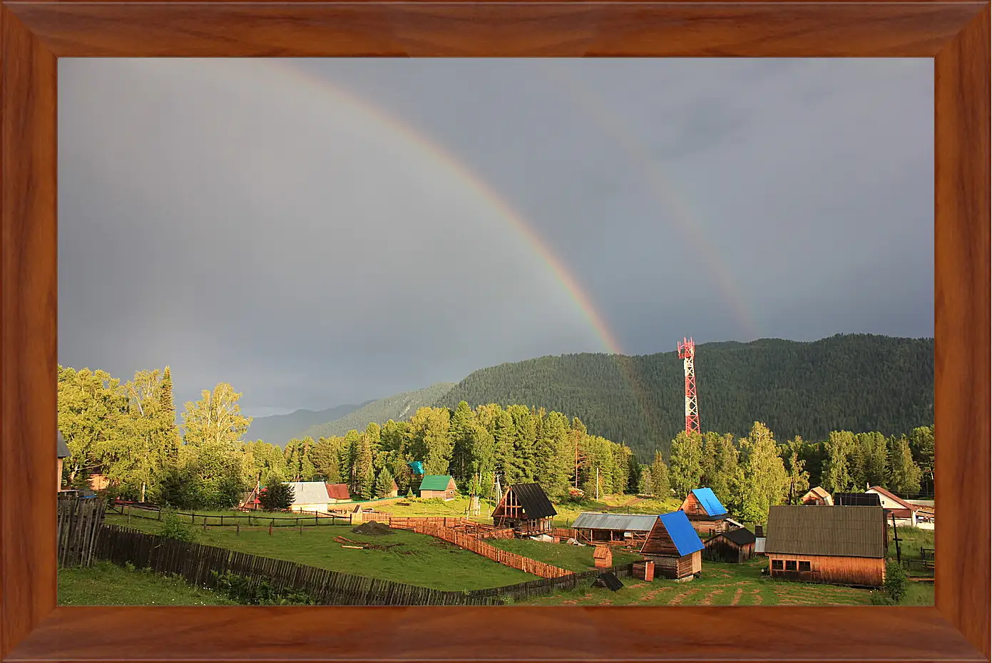 Картина в раме - Лето