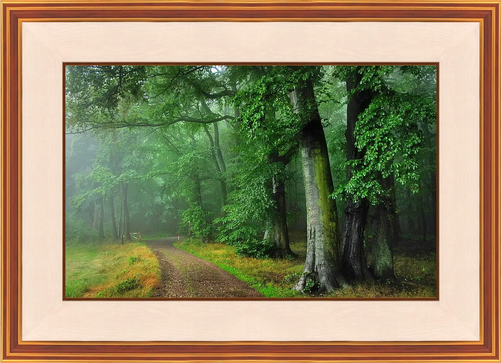 Картина в раме - Лето