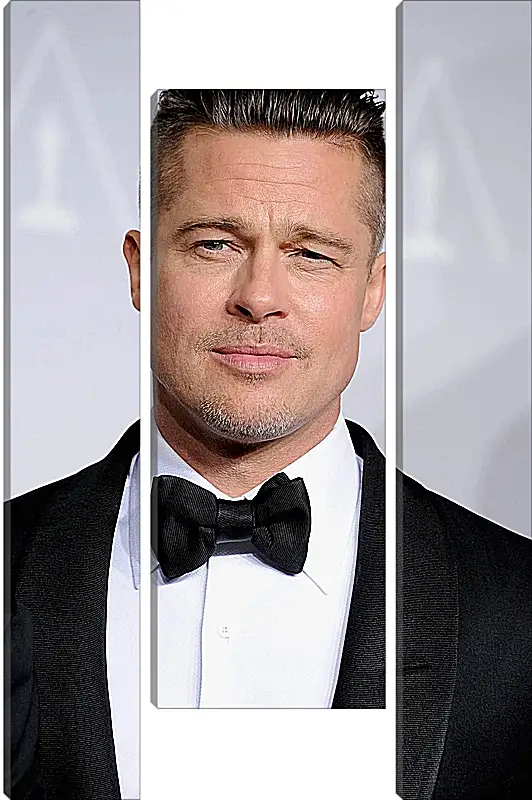 Модульная картина - Брэд Питт. Brad Pitt