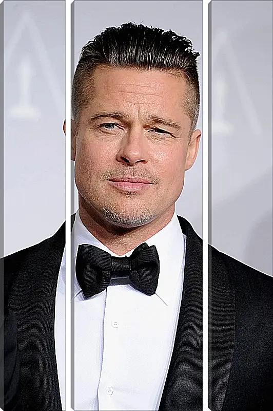 Модульная картина - Брэд Питт. Brad Pitt
