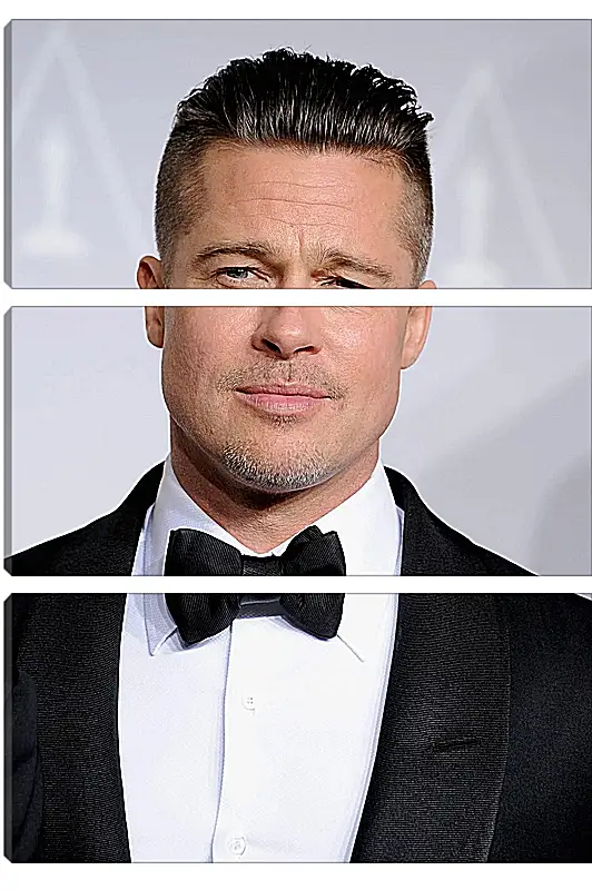 Модульная картина - Брэд Питт. Brad Pitt