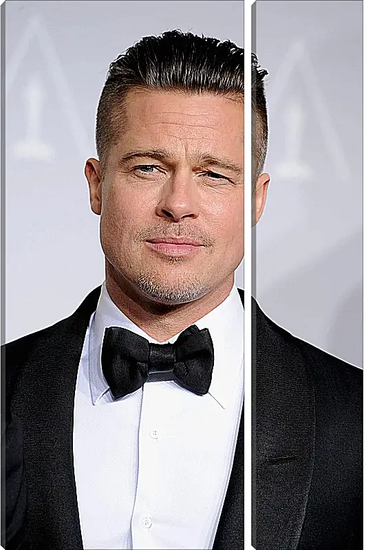 Модульная картина - Брэд Питт. Brad Pitt