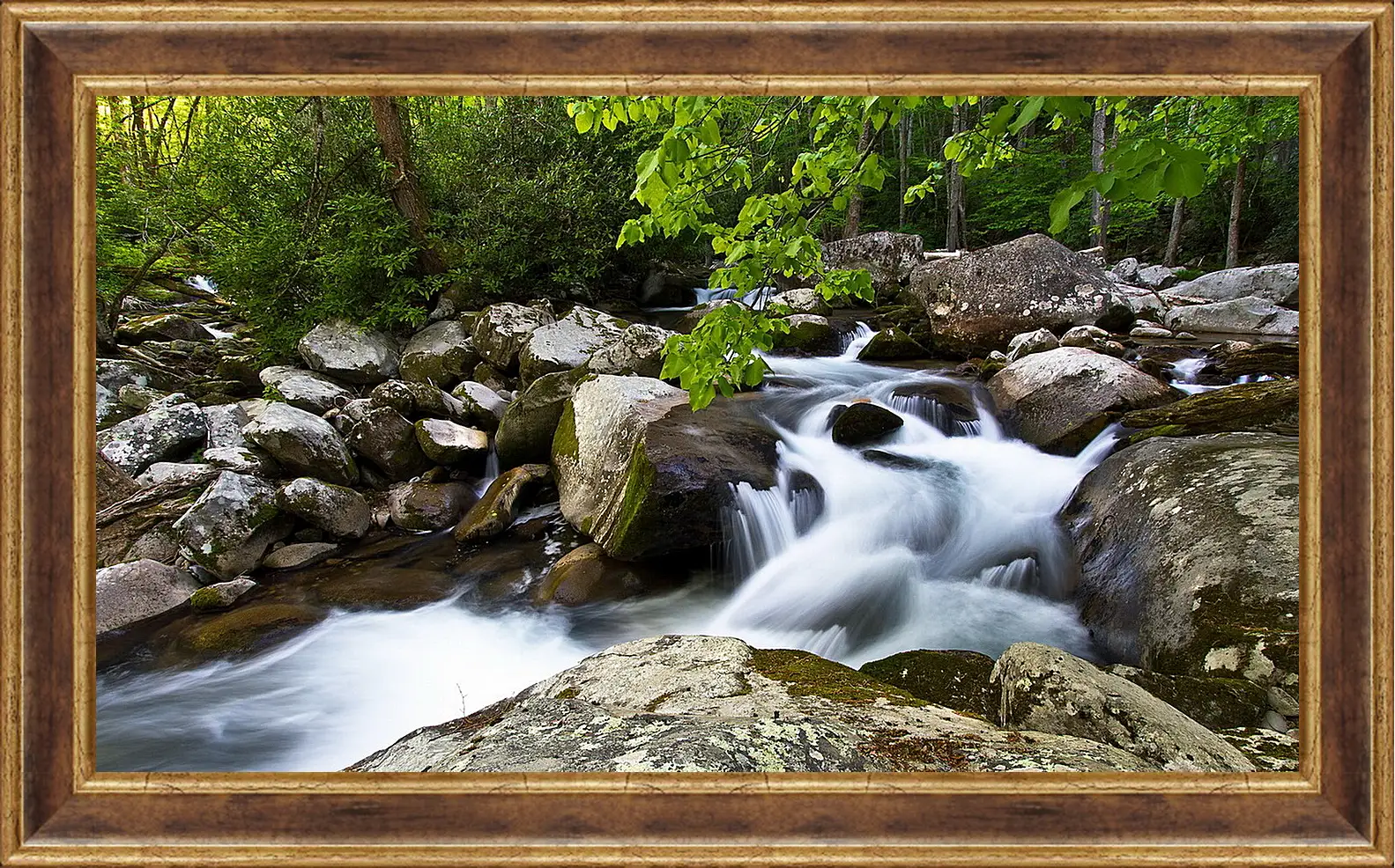 Картина в раме - Лето