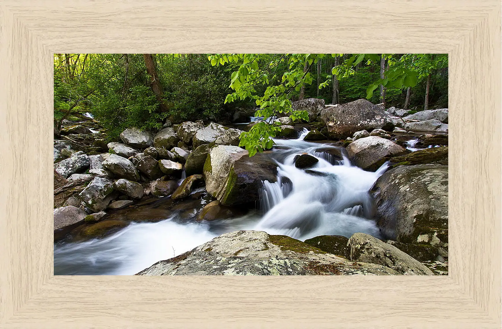 Картина в раме - Лето