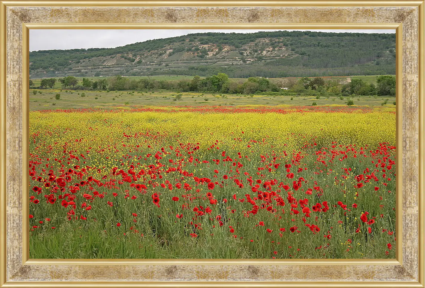 Картина в раме - Лето