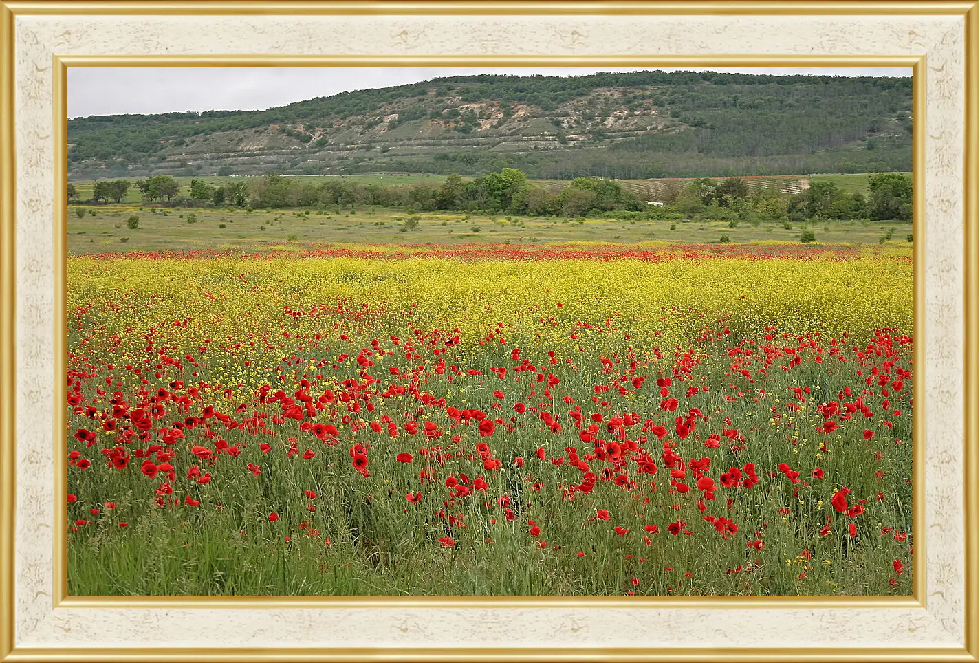 Картина в раме - Лето