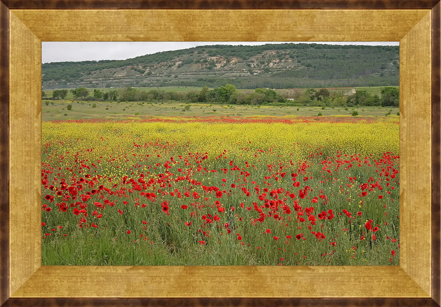 Картина в раме - Лето