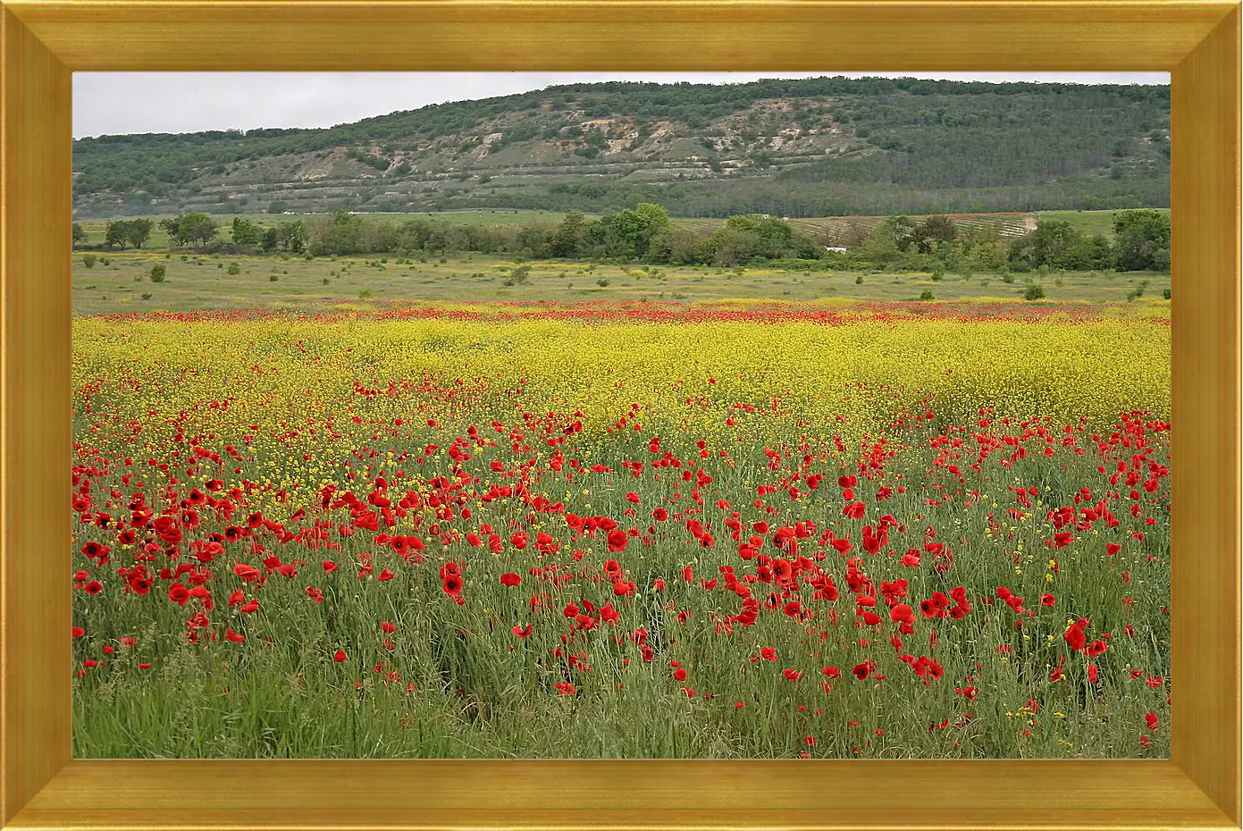 Картина в раме - Лето