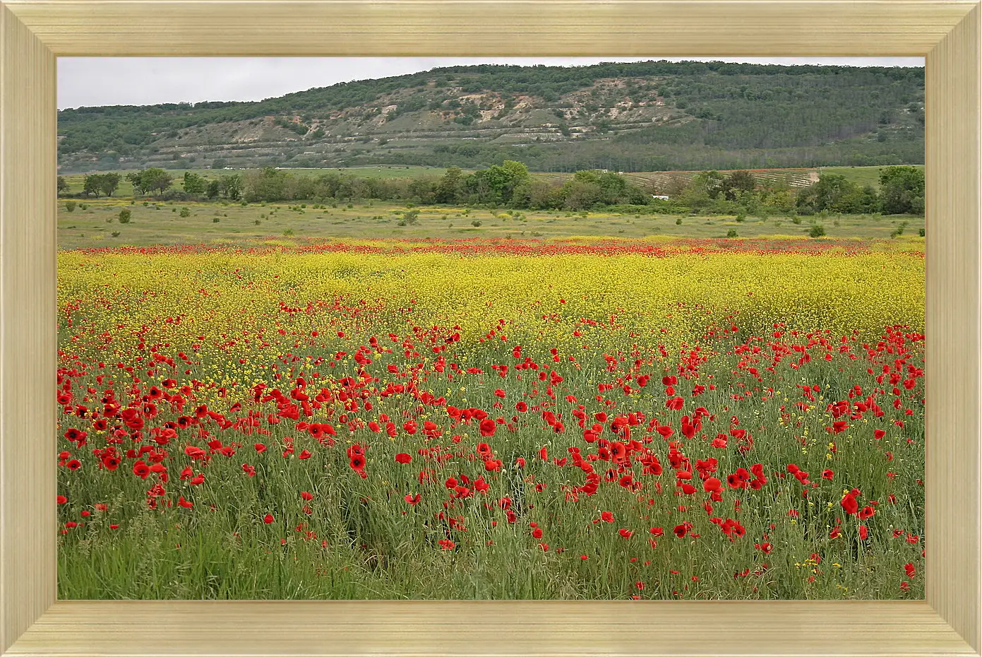 Картина в раме - Лето