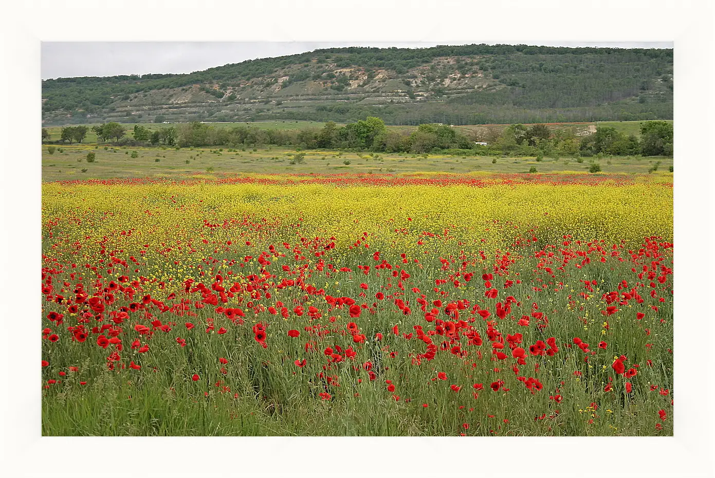 Картина в раме - Лето