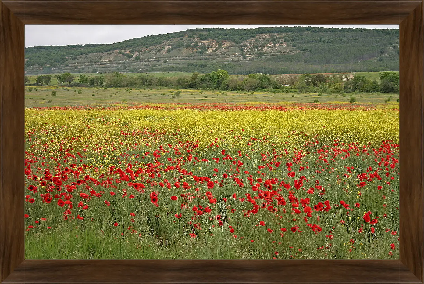 Картина в раме - Лето