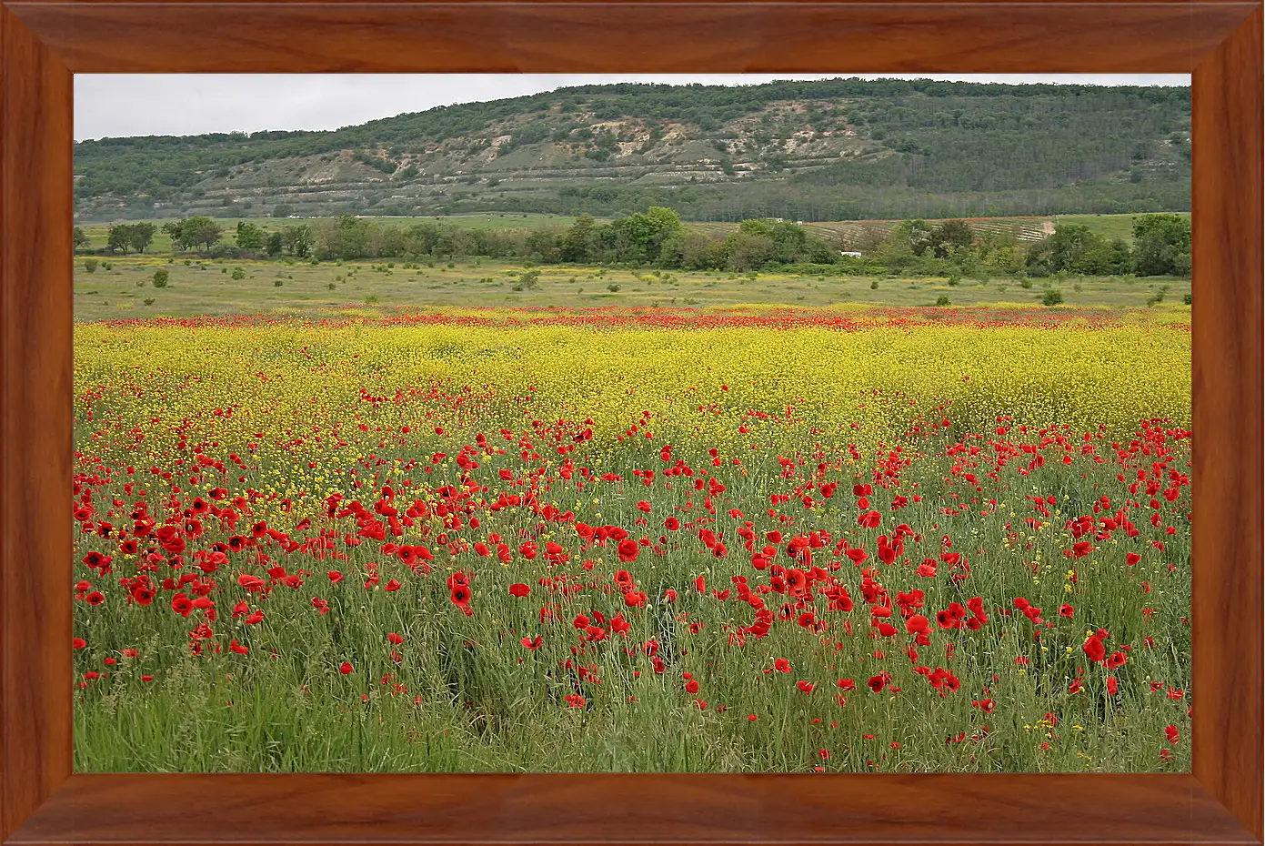 Картина в раме - Лето