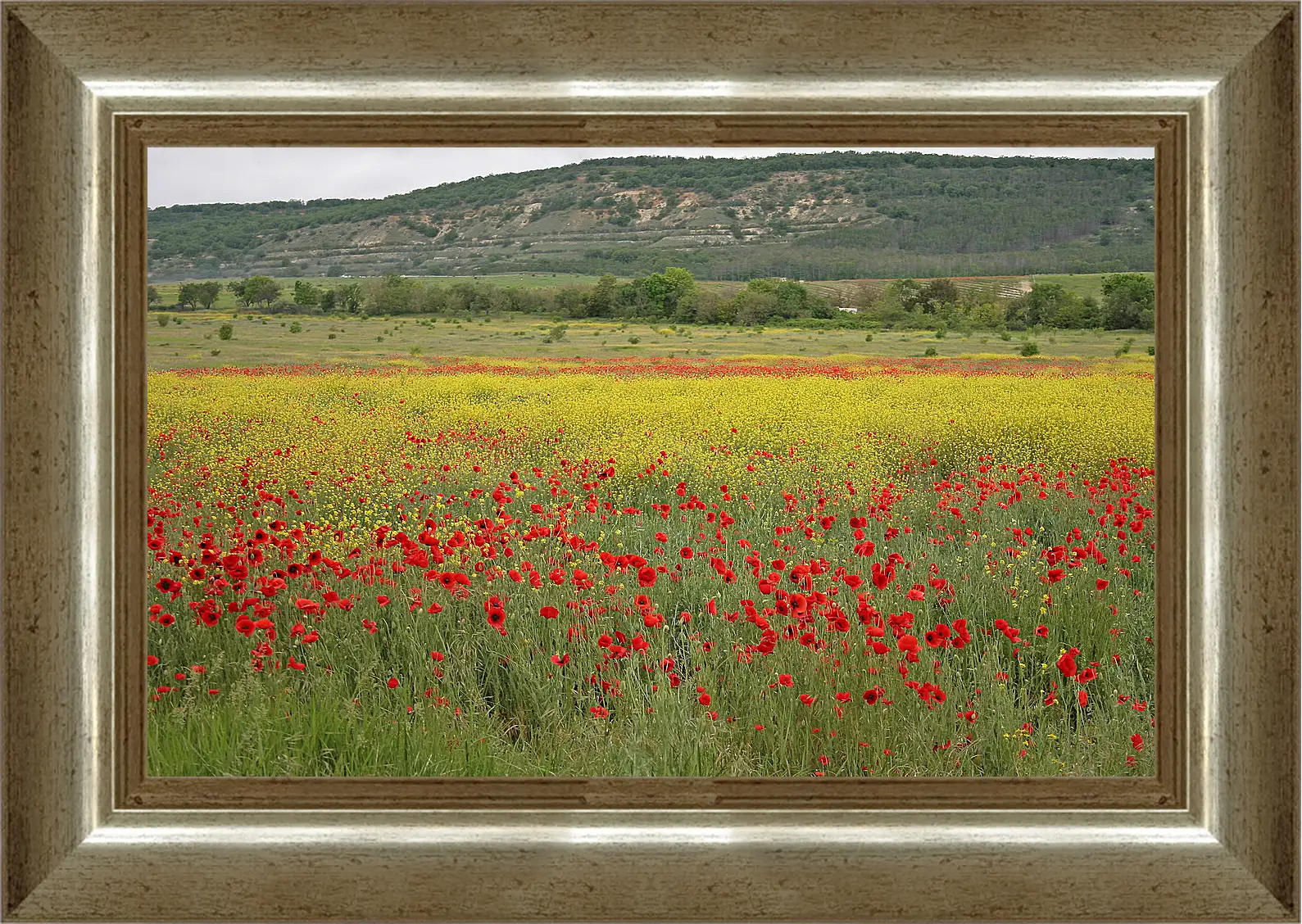 Картина в раме - Лето