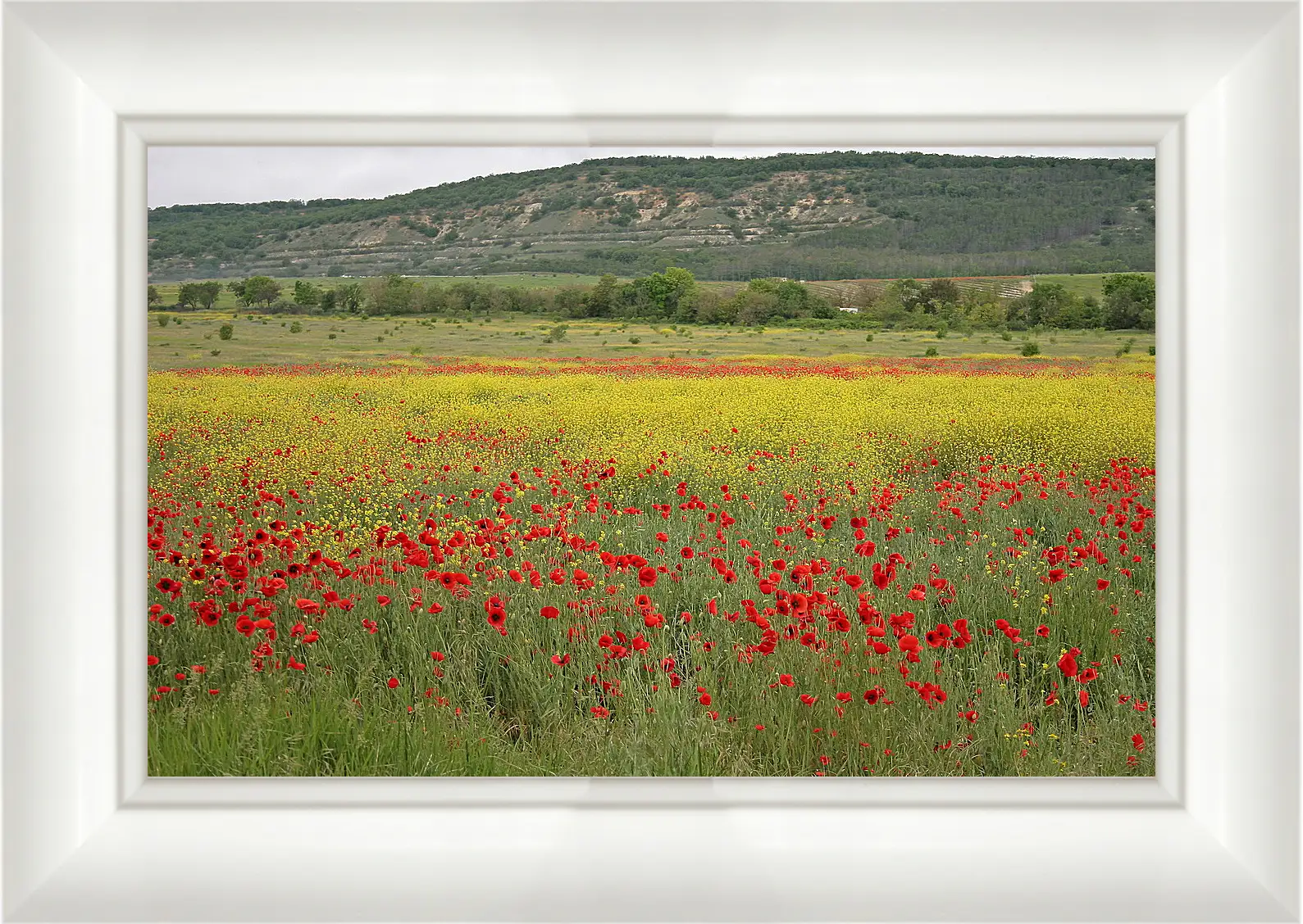 Картина в раме - Лето