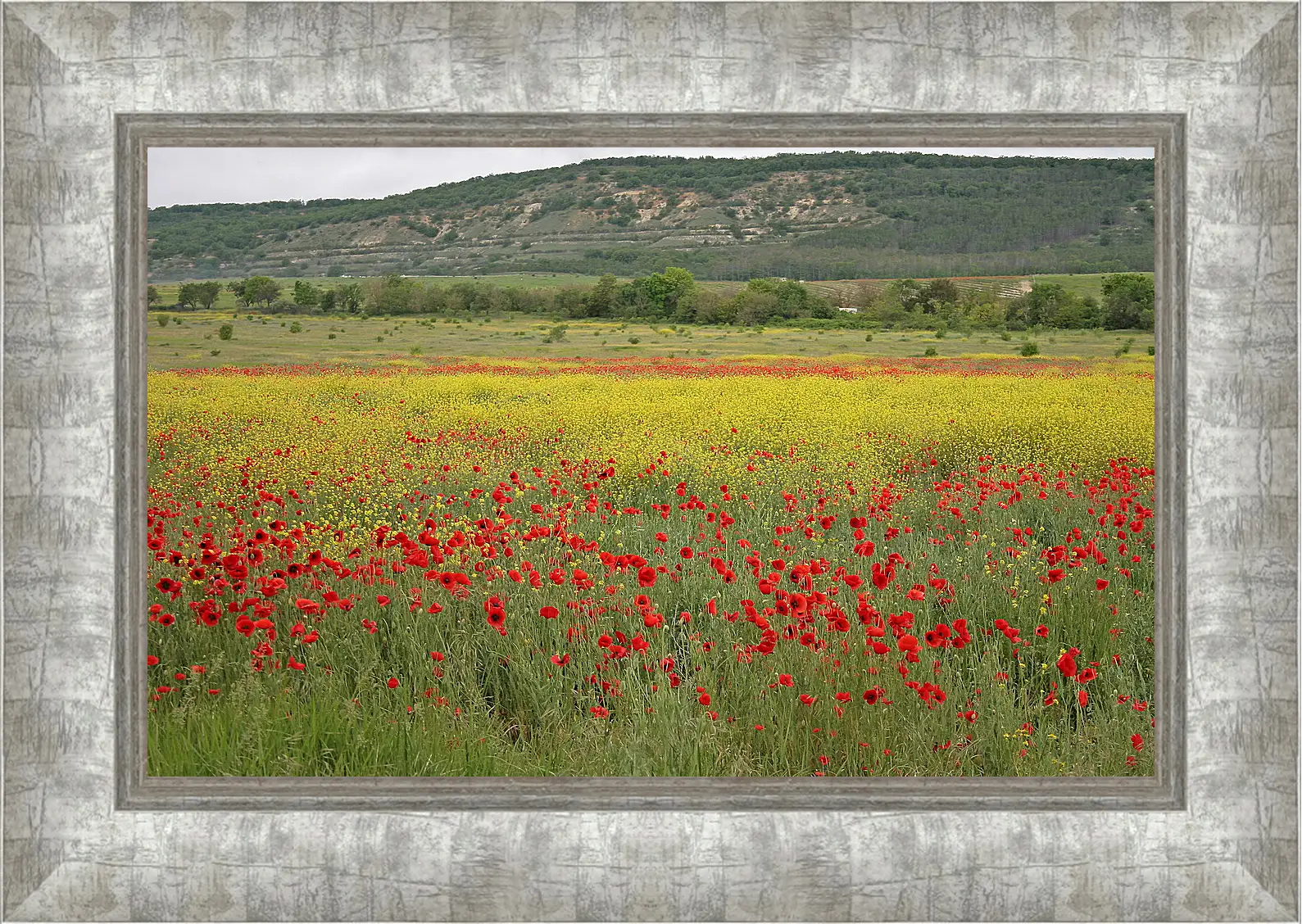 Картина в раме - Лето