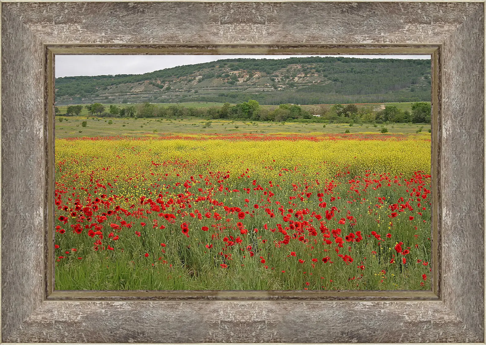 Картина в раме - Лето