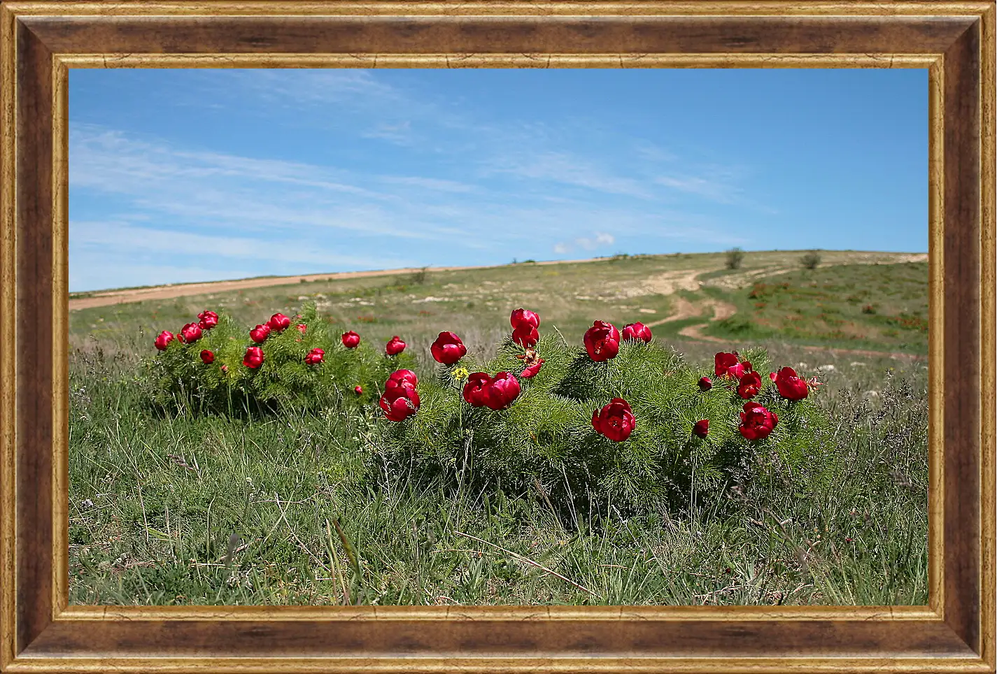 Картина в раме - Лето