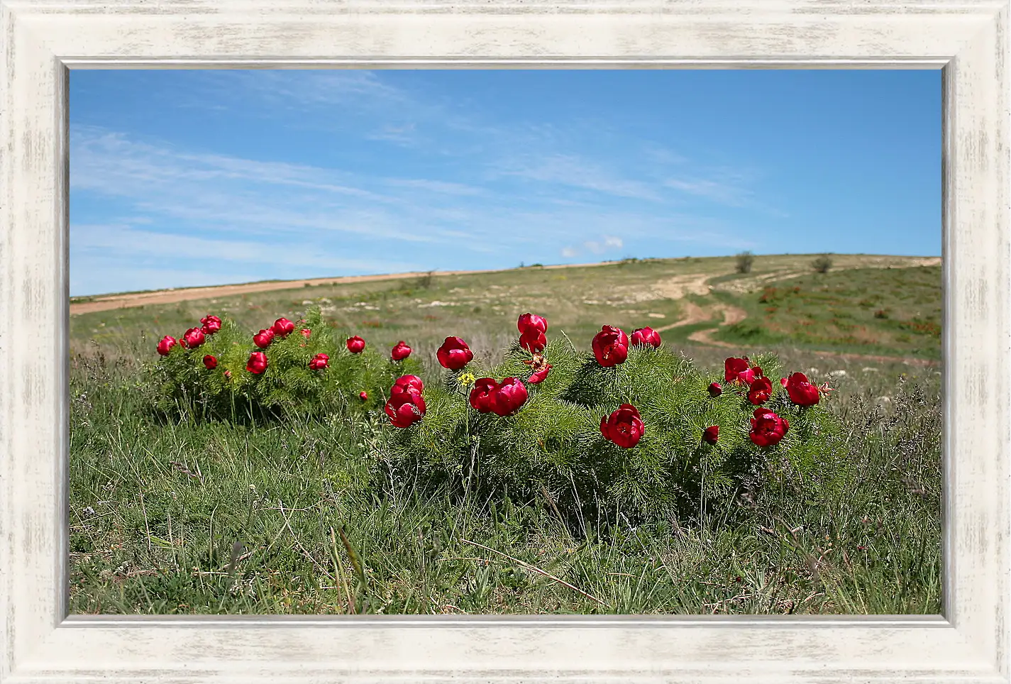 Картина в раме - Лето