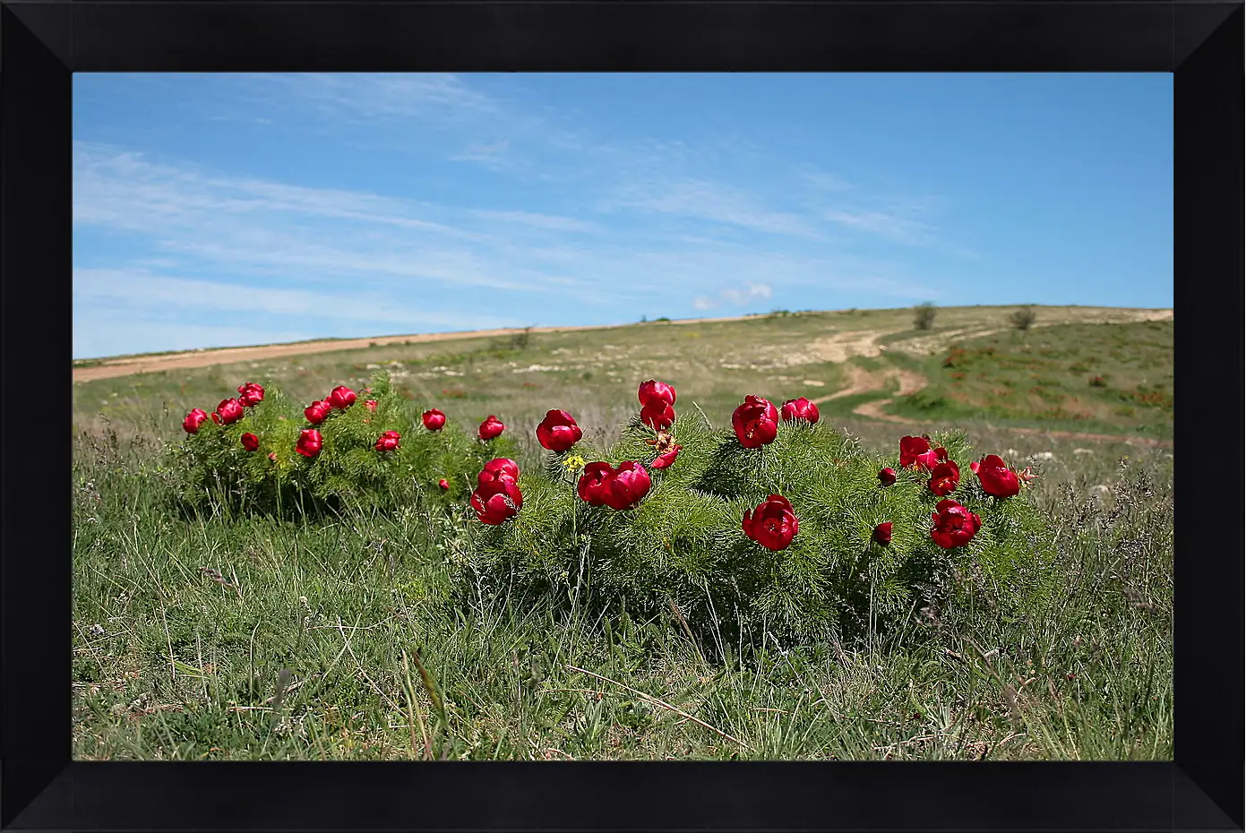 Картина в раме - Лето