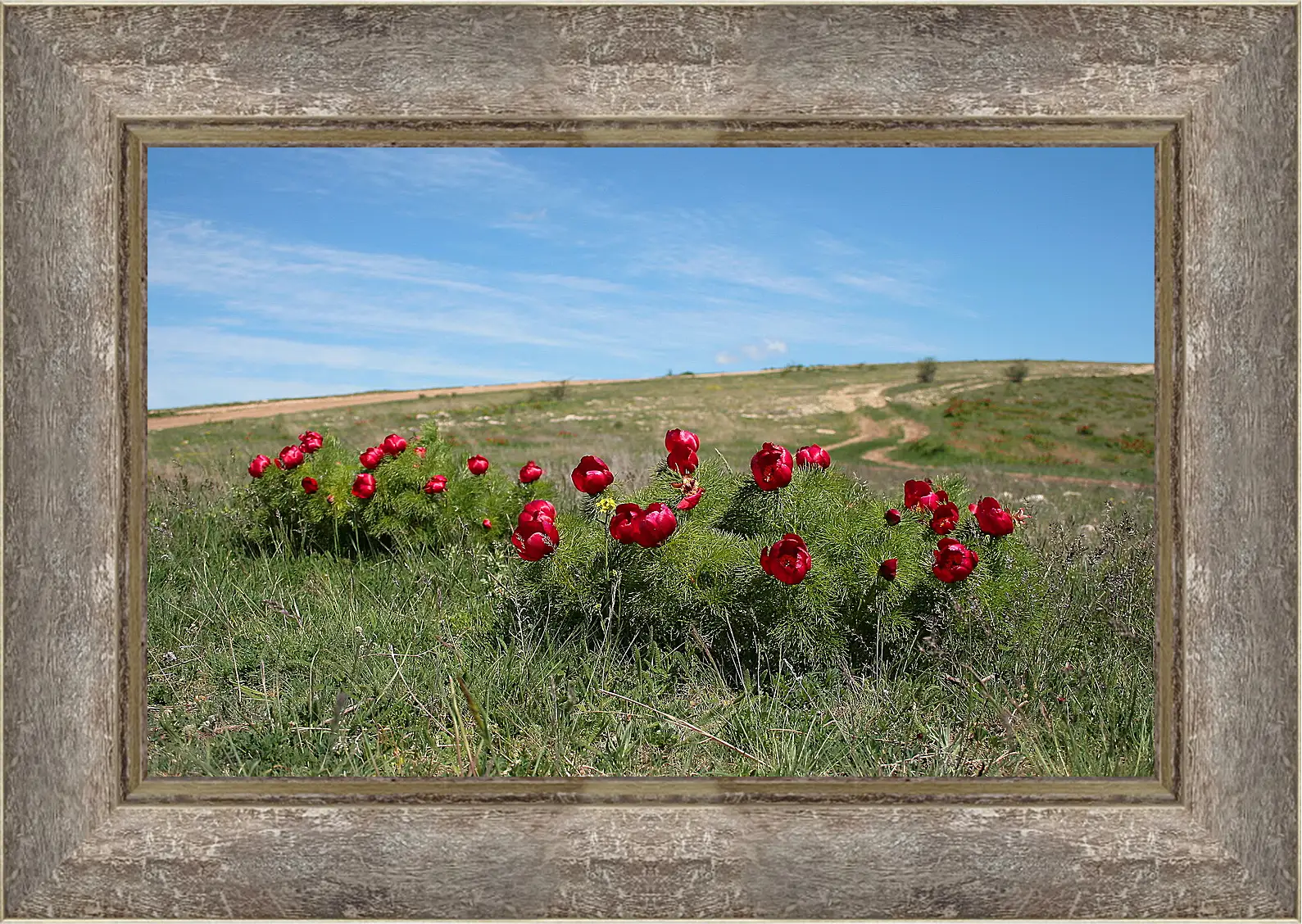 Картина в раме - Лето