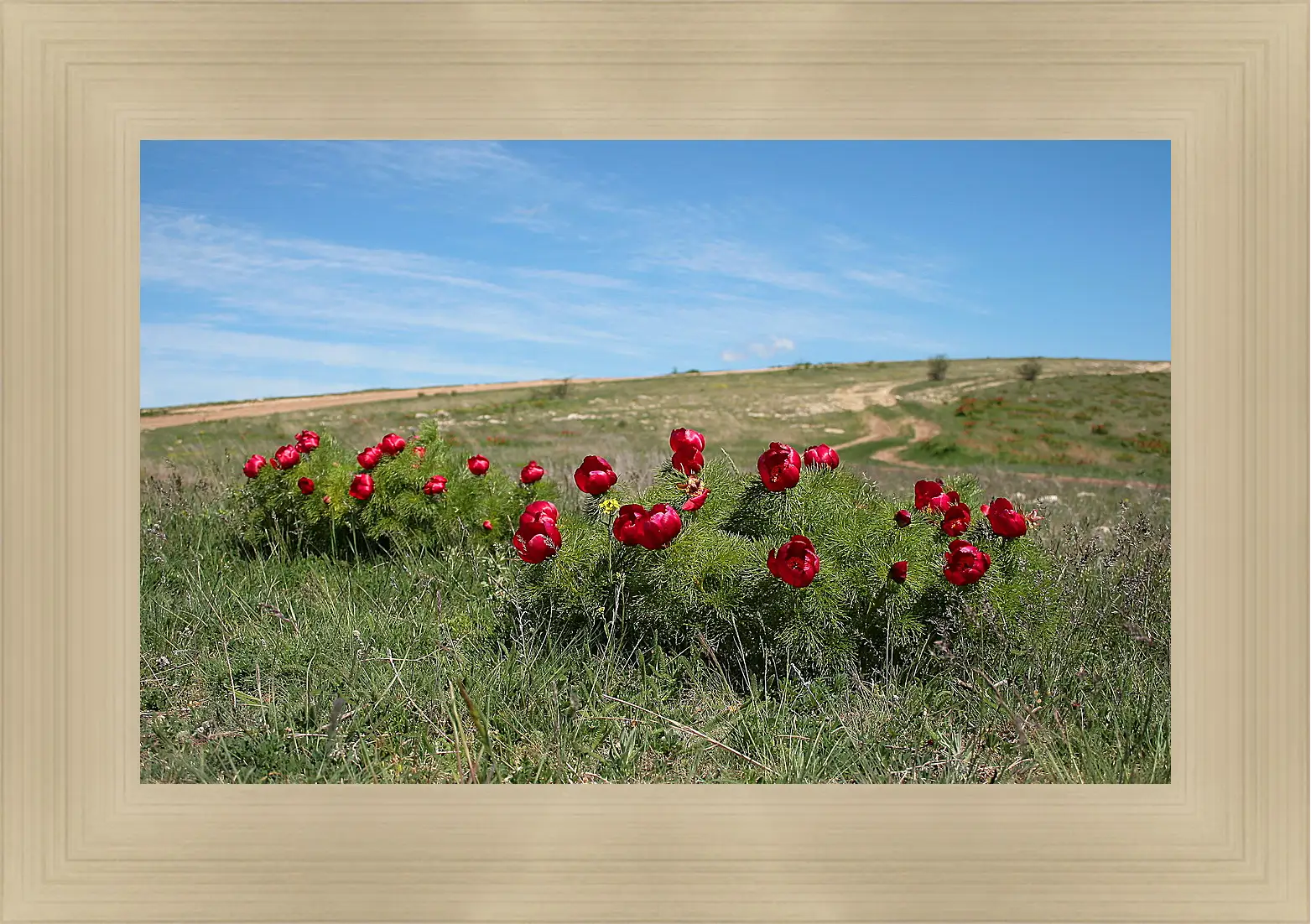 Картина в раме - Лето