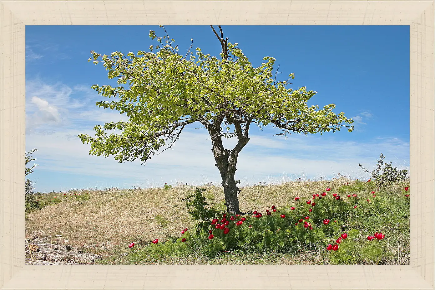 Картина в раме - Лето