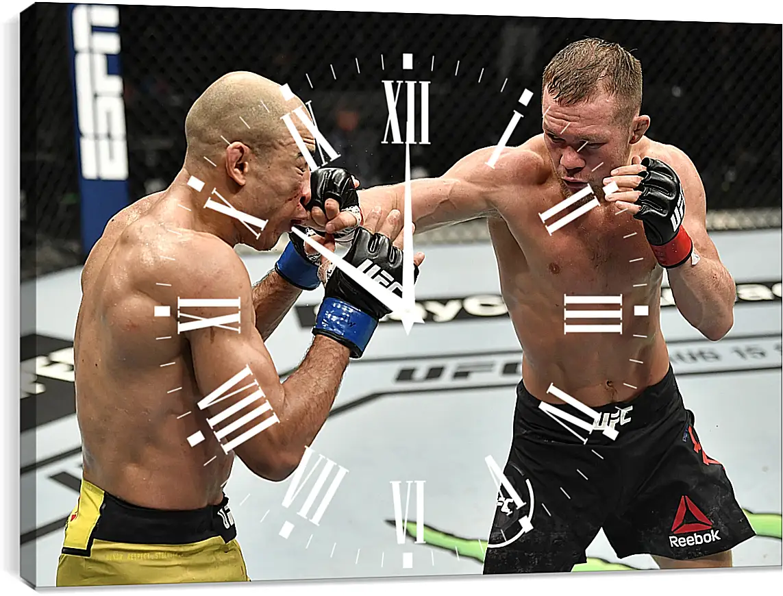 Часы картина - UFC. MMA. Пётр Ян