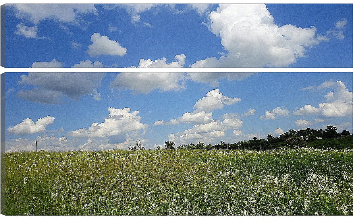 Модульная картина - Лето