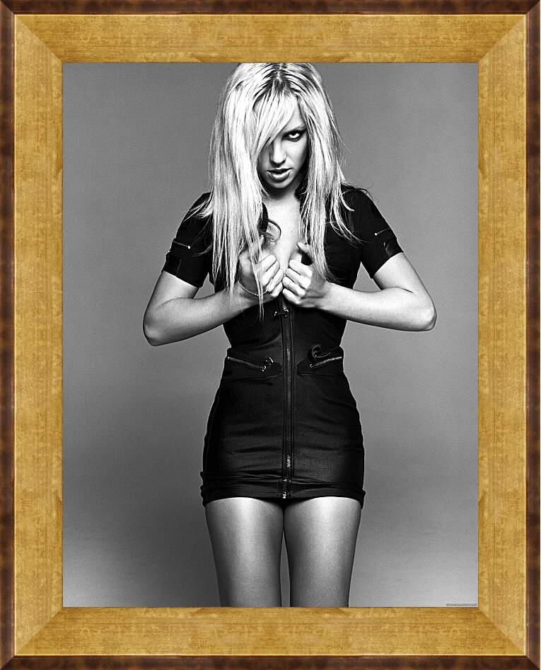 Картина в раме - Бритни Спирс (Britney Spears)