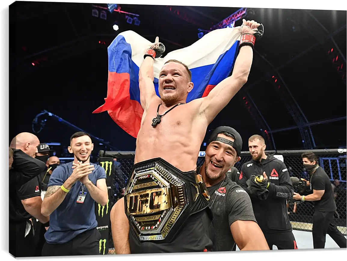 Постер и плакат - UFC. MMA. Пётр Ян