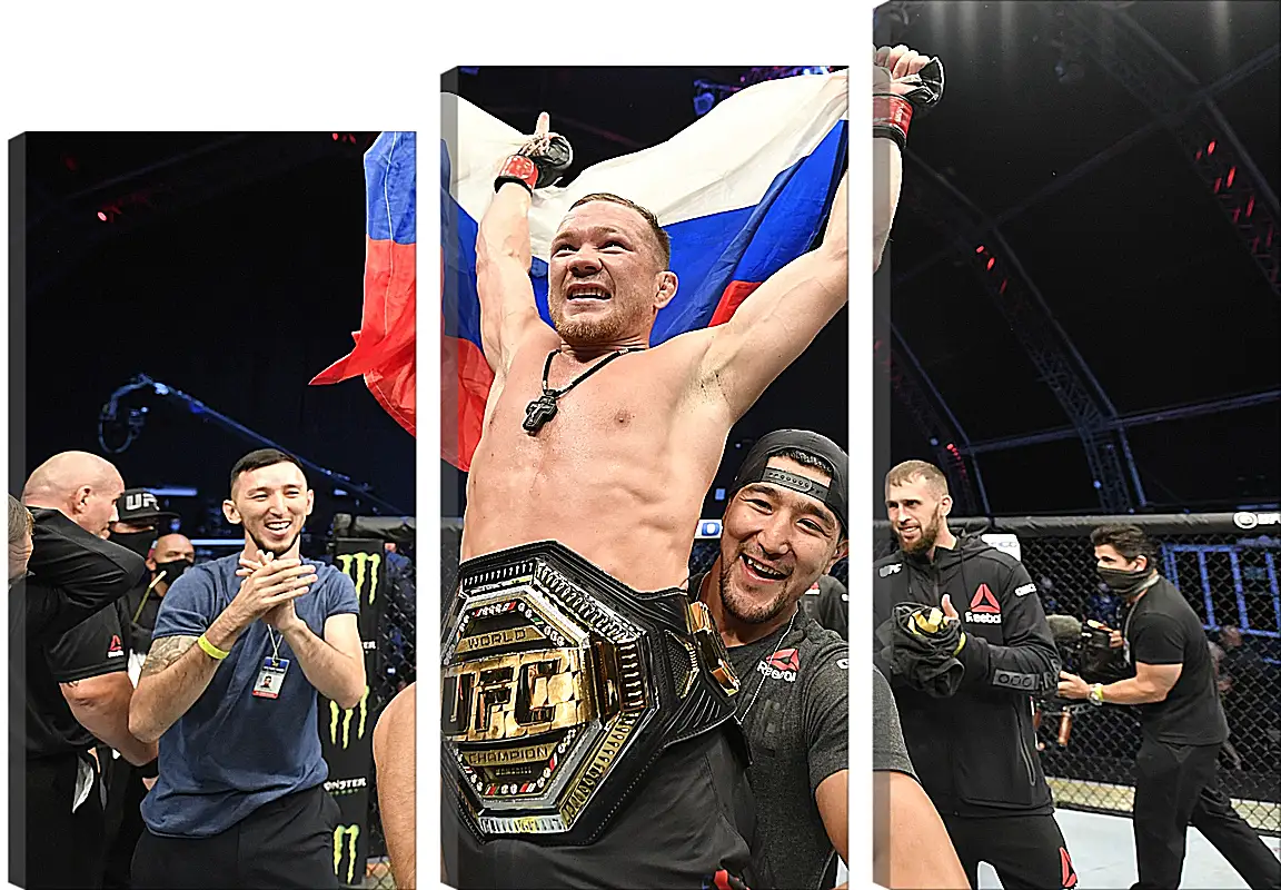 Модульная картина - UFC. MMA. Пётр Ян