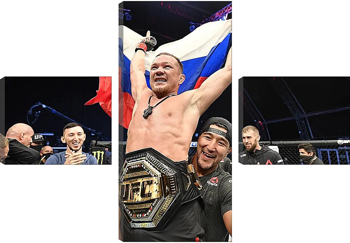 Модульная картина - UFC. MMA. Пётр Ян