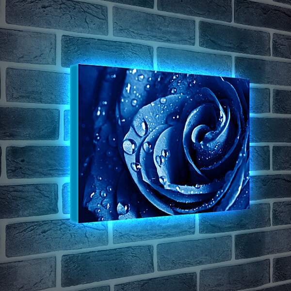 Лайтбокс световая панель - Синяя роза