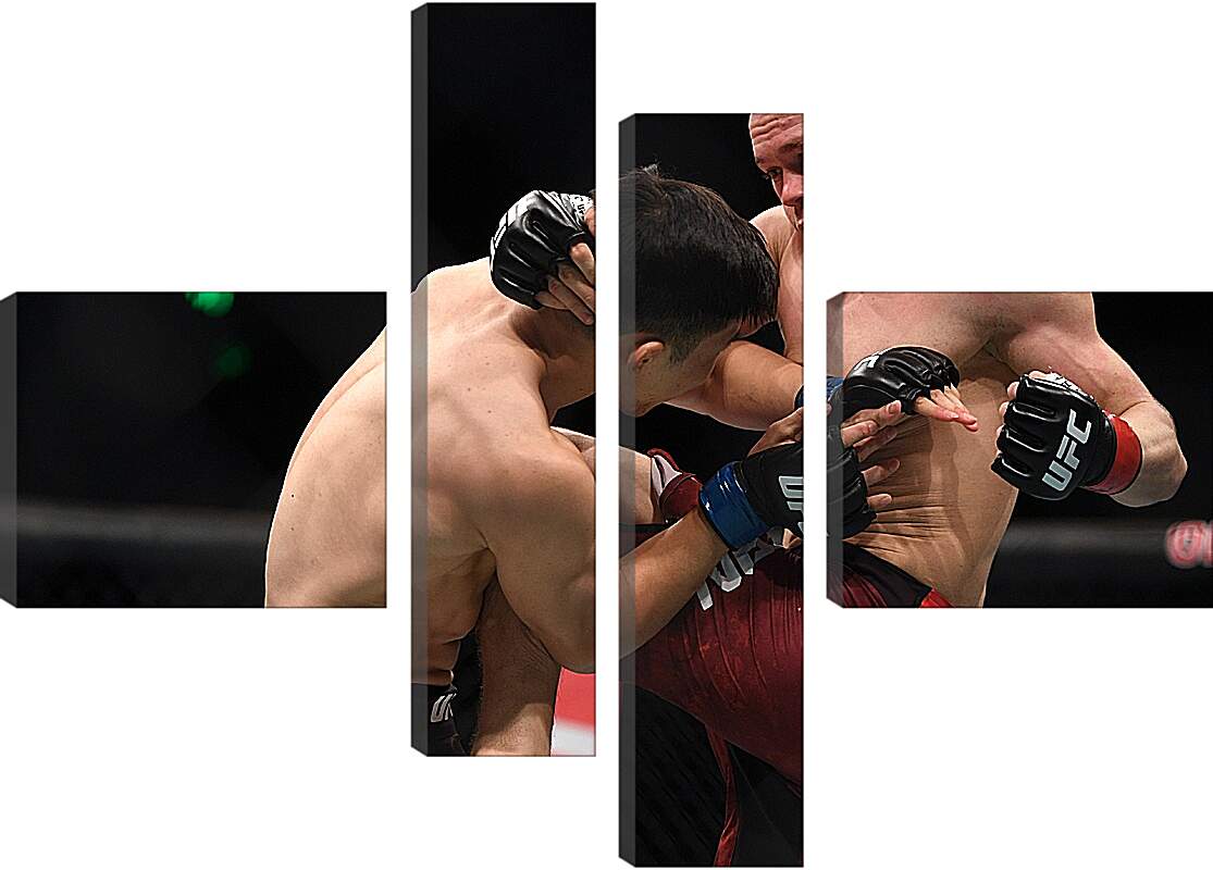 Модульная картина - UFC. MMA. Пётр Ян