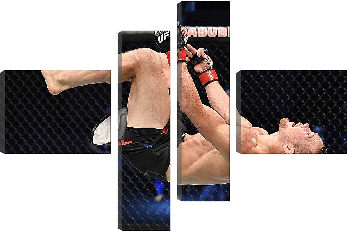 Модульная картина - UFC. MMA. Пётр Ян