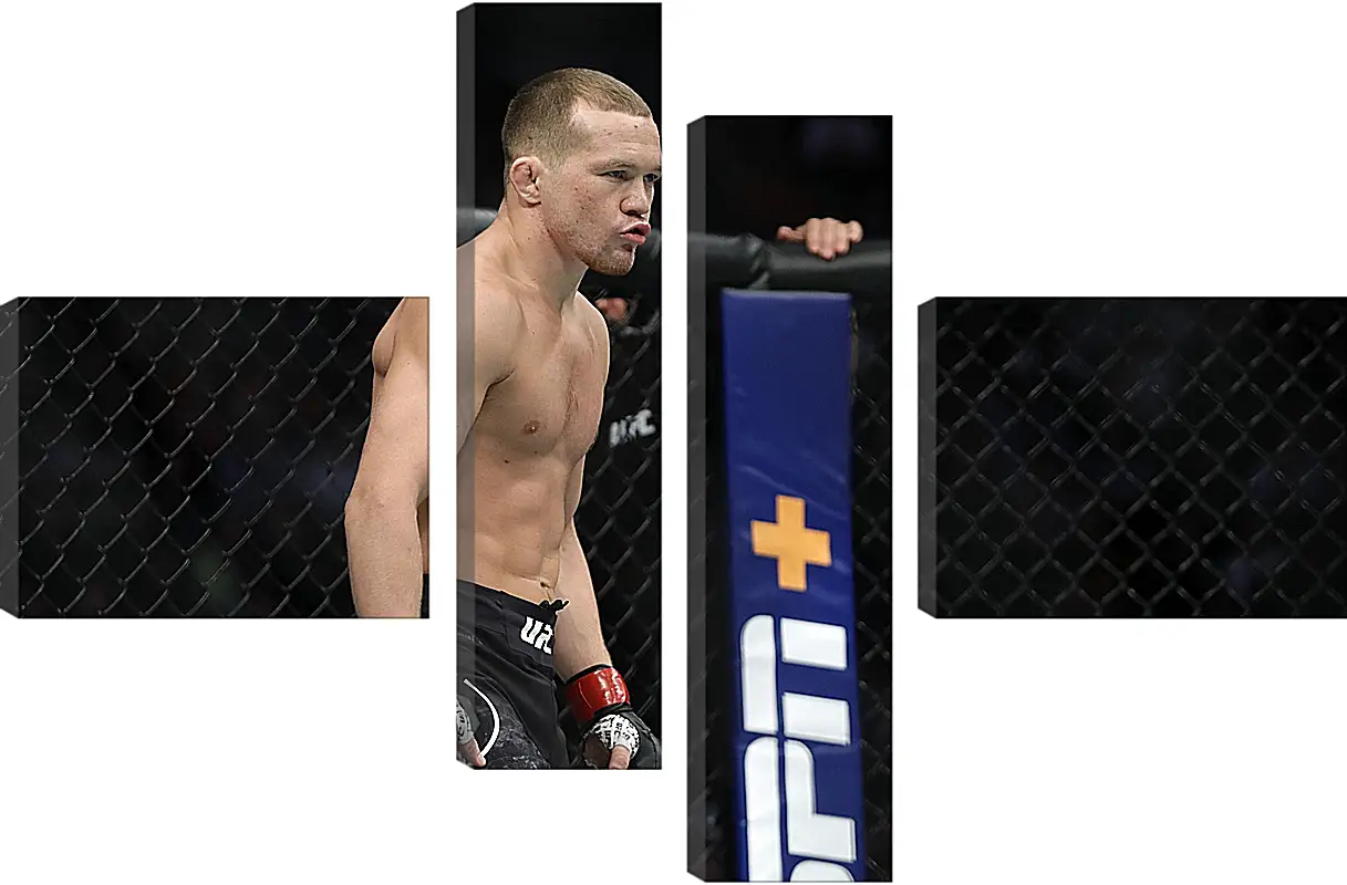 Модульная картина - UFC. MMA. Пётр Ян