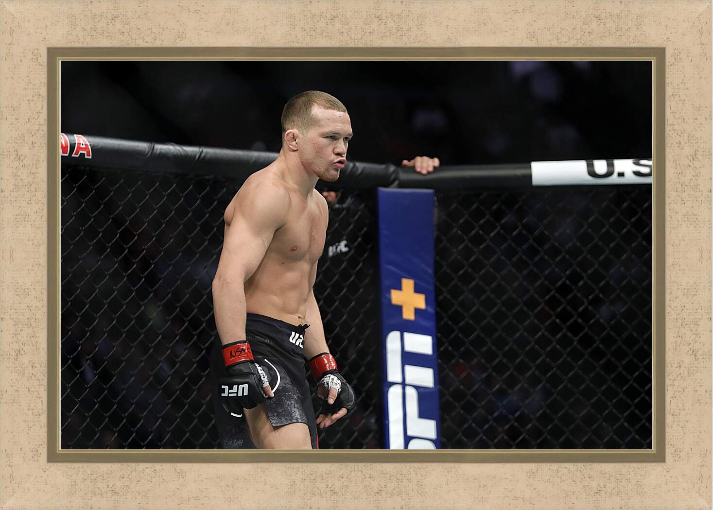 Картина в раме - UFC. MMA. Пётр Ян