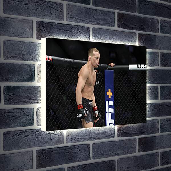 Лайтбокс световая панель - UFC. MMA. Пётр Ян