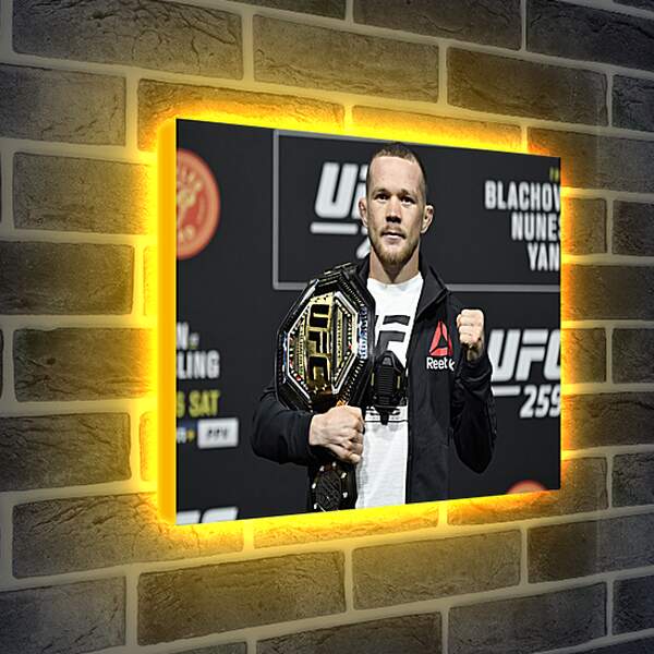 Лайтбокс световая панель - UFC. MMA. Пётр Ян