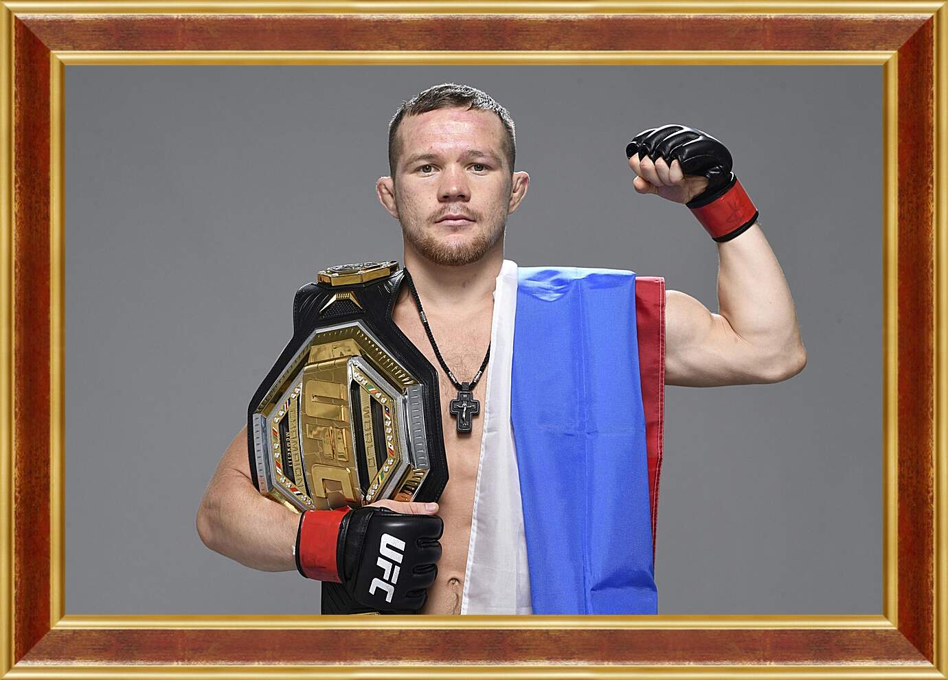 Картина в раме - UFC. MMA. Пётр Ян