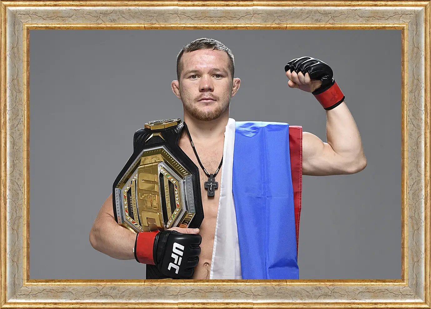 Картина в раме - UFC. MMA. Пётр Ян