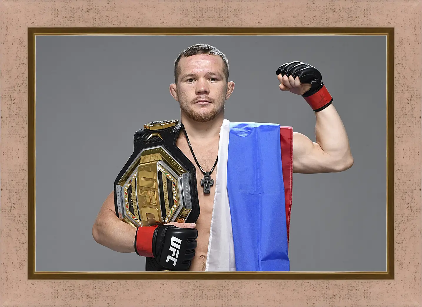 Картина в раме - UFC. MMA. Пётр Ян