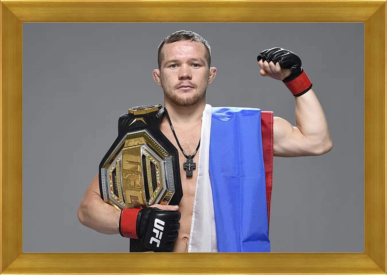 Картина в раме - UFC. MMA. Пётр Ян